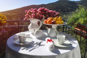 Casa con vista a Vibonati, Cilento